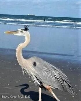 135 Hernando Lane, Unit 6, Cocoa Beach, FL 32931 Photo
