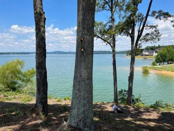 3608 Ferry Crest Way, Baneberry, TN 37890