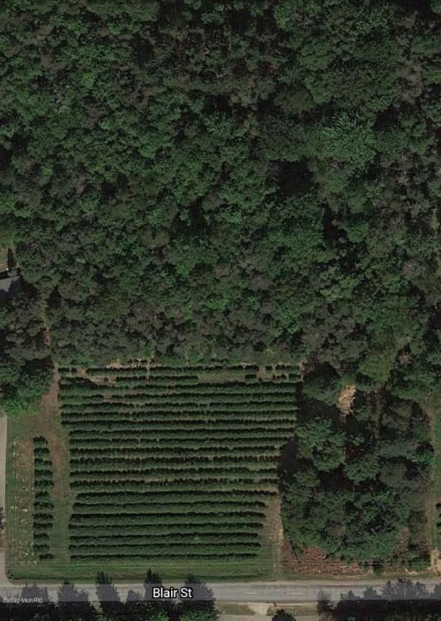 0 Blair Street, Lot #D, West Olive, MI 49460 Main Photo