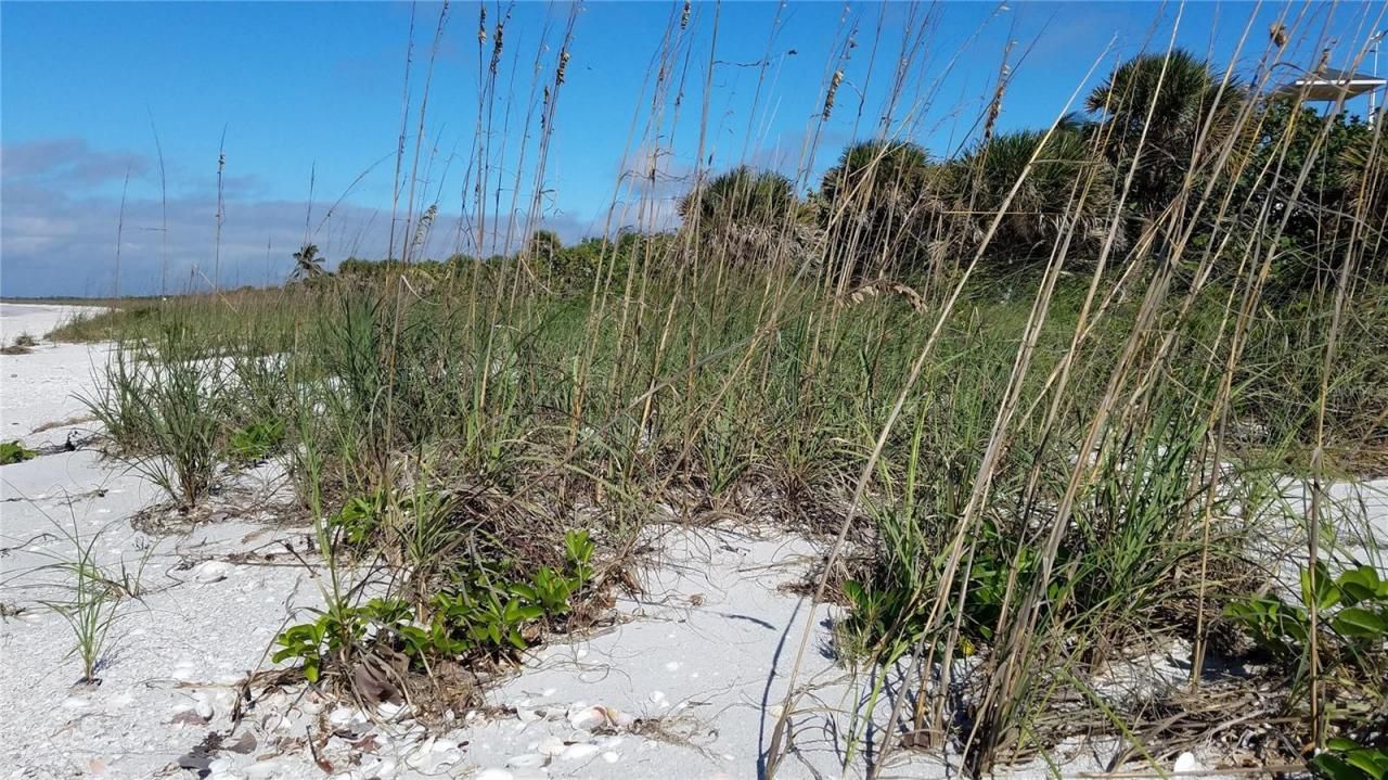 Access Undetermined, Bokeelia, FL 33922 Photo