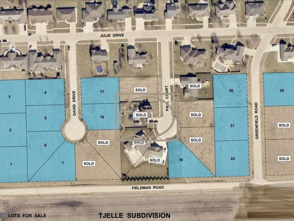 1404 S David Drive, Dwight, IL 60420