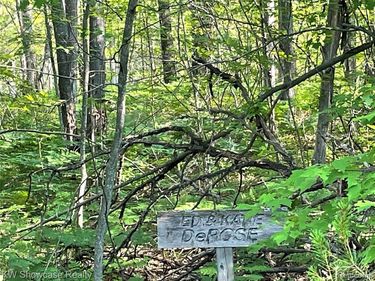 141 Garland Woods Lane, Greenwood Twp, MI 49756