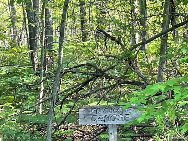 141 Garland Woods Lane, Greenwood Twp, MI 49756