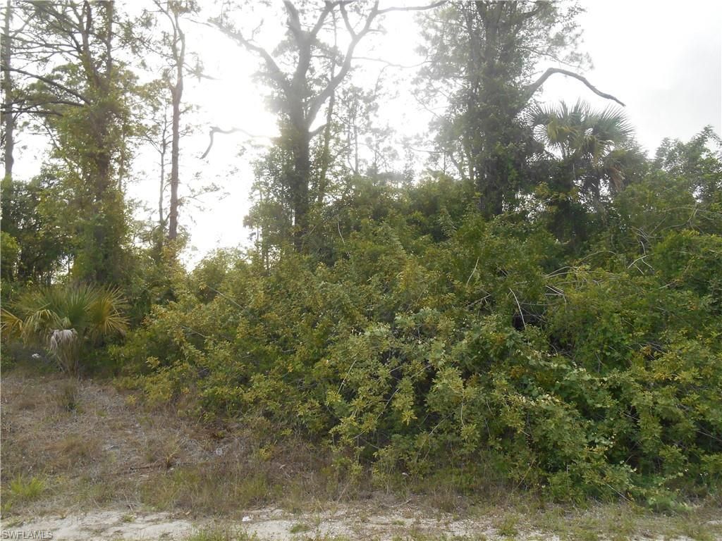 1515 Palmetto Ave, Lehigh Acres, FL 33972 Photo