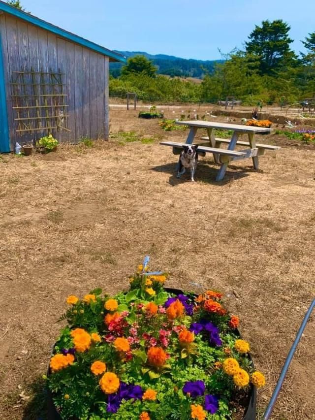 Please Call For Address, Pescadero, CA 94060 Main Photo