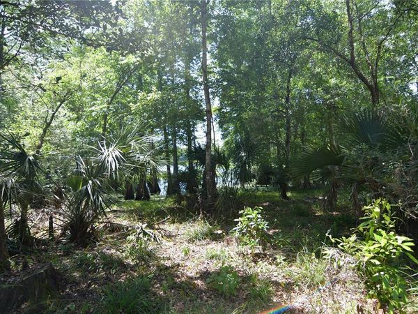 SW 64TH AVENUE, BUSHNELL, FL 33513