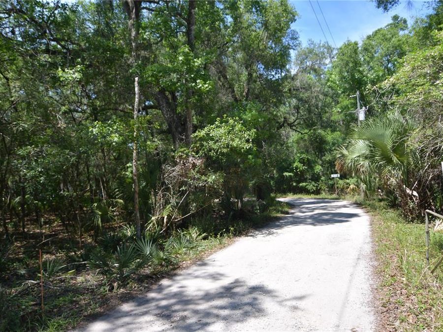 Property Image 21