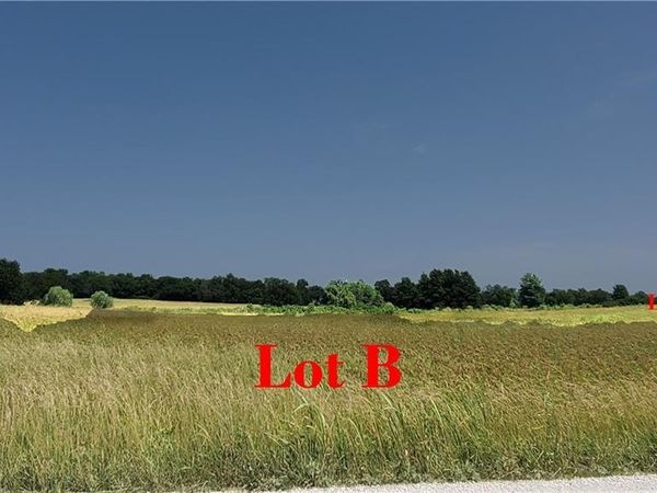 TBD Lot B E 267th Street, Freeman, MO 64746