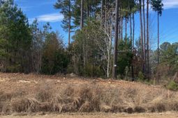 Johnson Marina Road photo 4