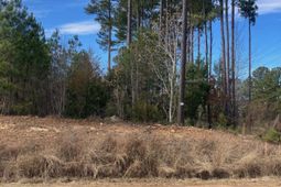 Johnson Marina Road photo 4