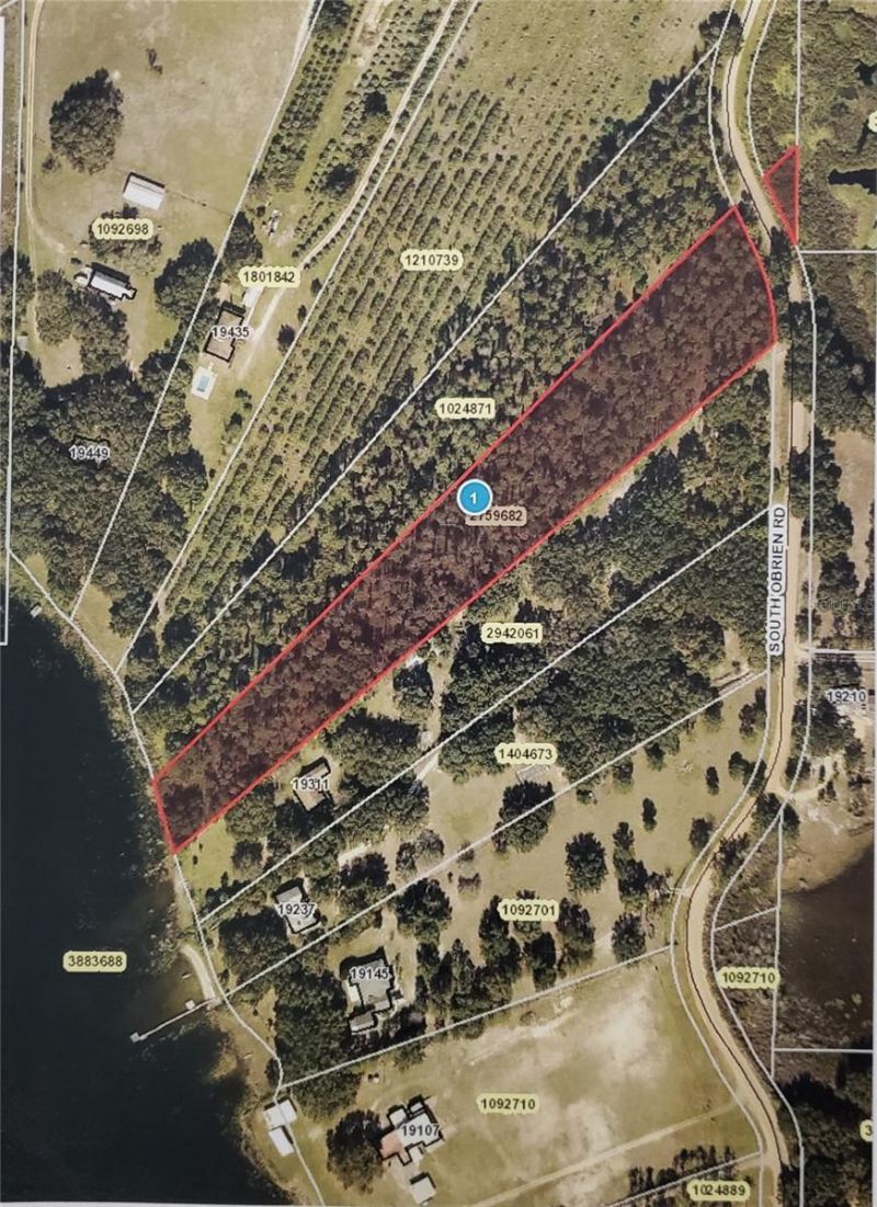 S Obrien Road, Groveland, FL 34736 Main Photo