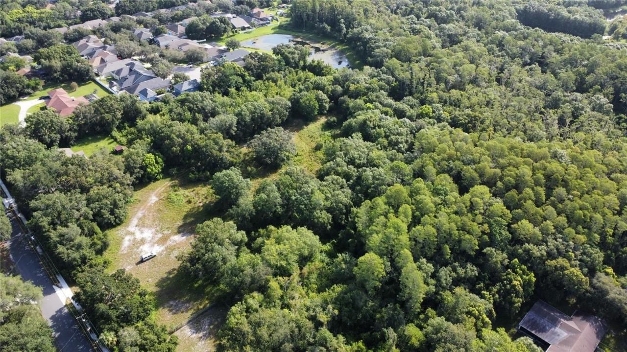 0 Cain Road, Tampa, FL 33625 Photo