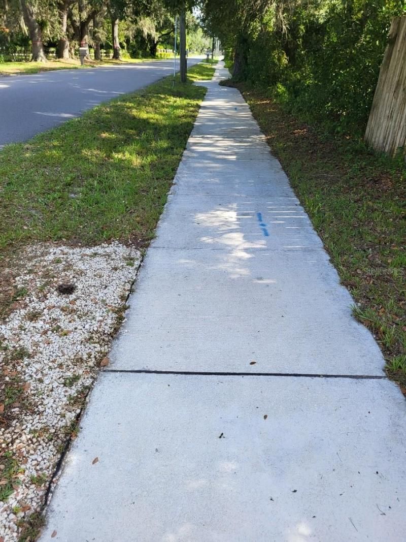 0 Cain Road, Tampa, FL 33625 Photo