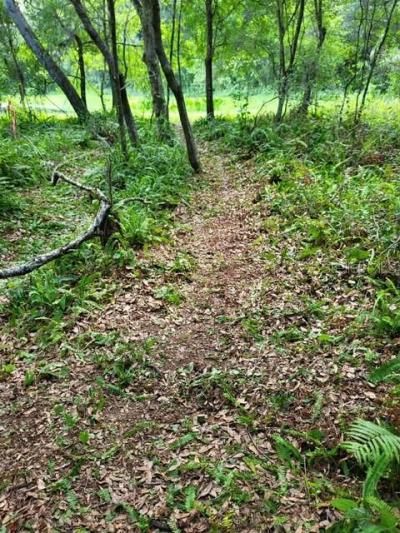 0 Cain Road, Tampa, FL 33625 Photo