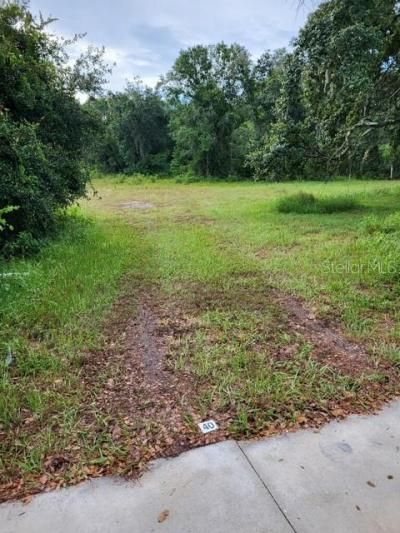 0 Cain Road, Tampa, FL 33625 Photo