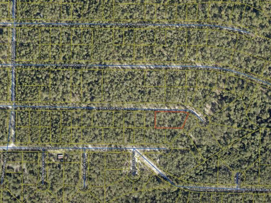 Property Image 4