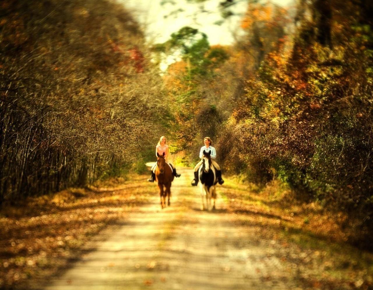 16 Leaning Oak Lane Photo 101