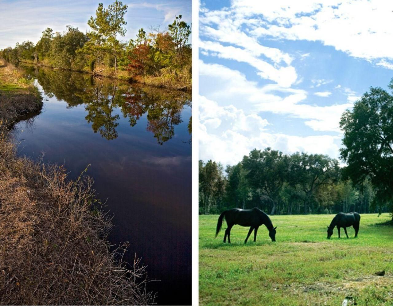 16 Leaning Oak Lane Photo 102