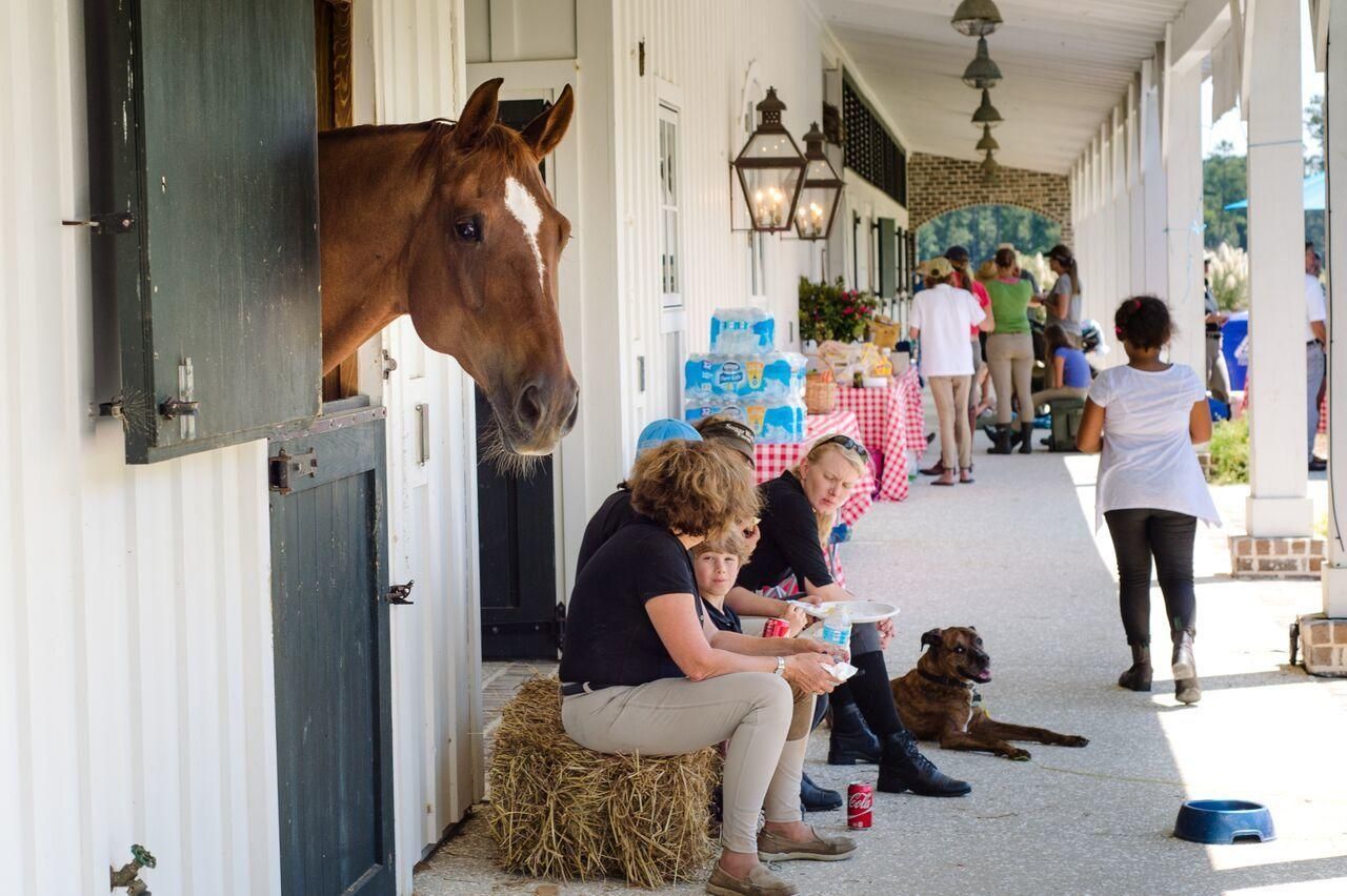 16 Leaning Oak Lane Photo 108