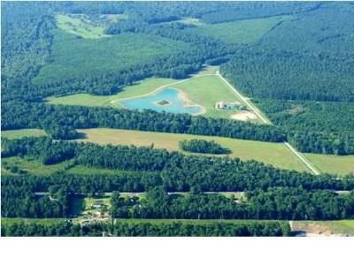 16 Leaning Oak Lane Photo 14