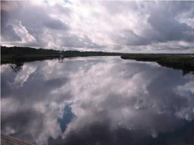 16 Leaning Oak Lane Photo 4