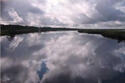 16 Leaning Oak Lane photo 4