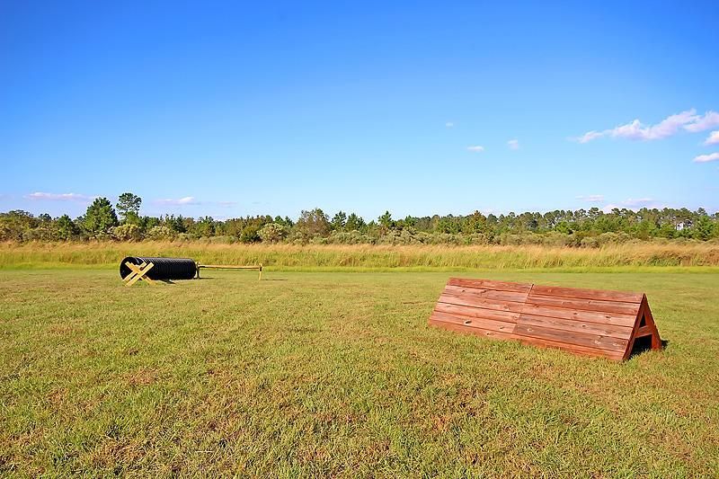 16 Leaning Oak Lane Photo 89