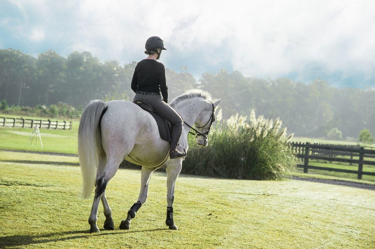 16 Leaning Oak Lane Photo 98