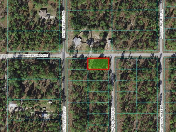 NW MALLARD AVE & SW SYCAMORE RD, DUNNELLON, FL 34431