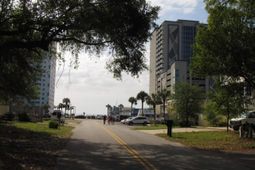 209 A 26th Ave. S photo 4