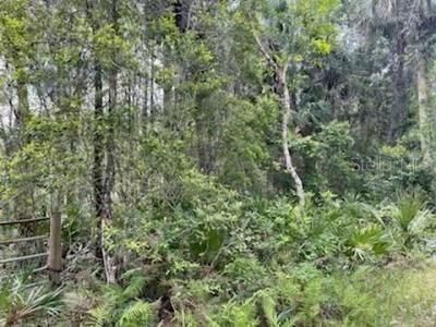 8107 W Mayfair Drive, Homosassa, FL 34448 Photo