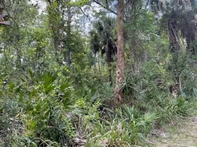 8107 W Mayfair Drive, Homosassa, FL 34448 Photo