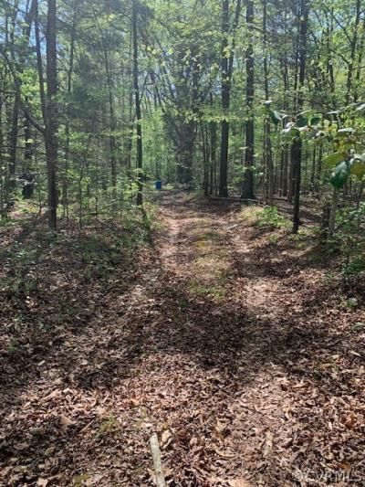 1725 Huguenot Trail, Powhatan, VA 23139 Main Photo