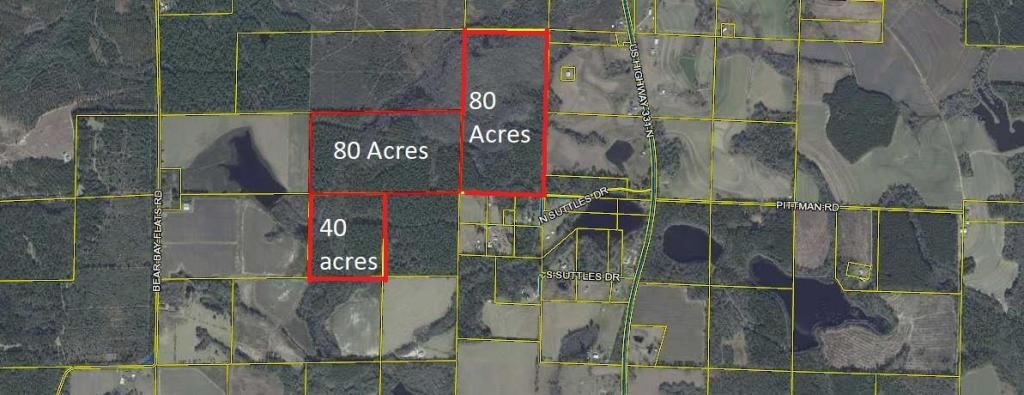 Xx N Suttles Drive, Laurel Hill, FL 32567 Main Photo