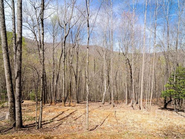 808 Stoney Stream Lane, Arden, NC 28704