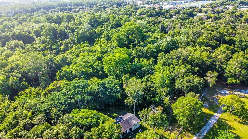 6877 Nassau Avenue, Orlando, FL 32822 Photo