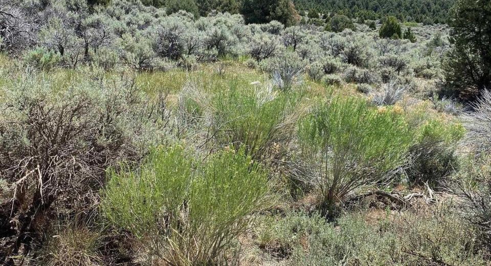 Tbd El Dorado Canyon, Carson City, NV 89701 Photo