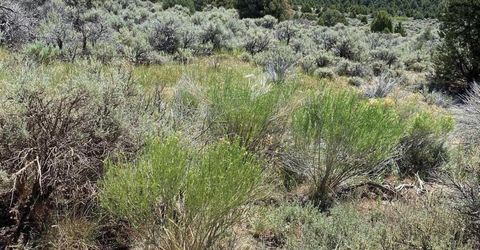 Tbd El Dorado Canyon, Carson City, NV 89701 Photo