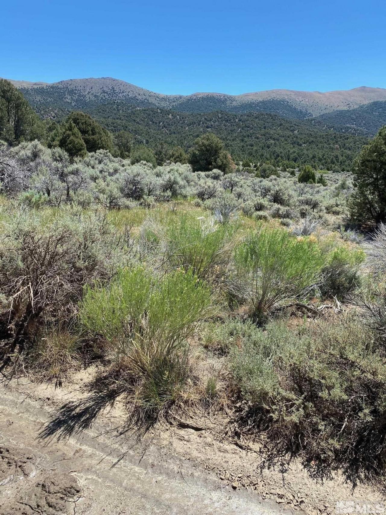 Tbd El Dorado Canyon, Carson City, NV 89701 Photo