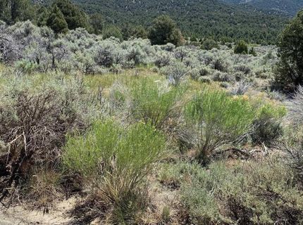 Tbd El Dorado Canyon, Carson City, NV 89701 Photo