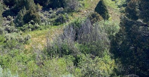 Tbd El Dorado Canyon, Carson City, NV 89701 Photo