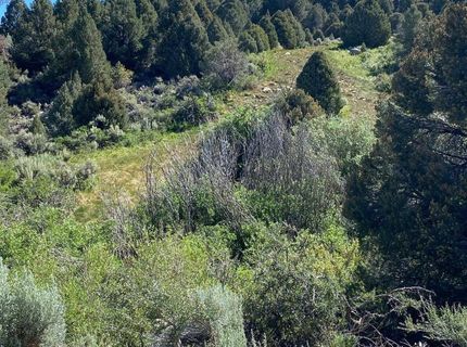 Tbd El Dorado Canyon, Carson City, NV 89701 Photo