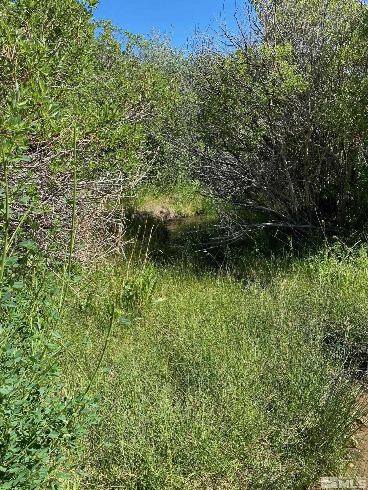 Tbd El Dorado Canyon, Carson City, NV 89701 Photo