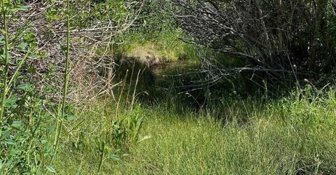 Tbd El Dorado Canyon, Carson City, NV 89701 Photo