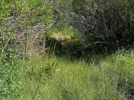 Tbd El Dorado Canyon, Carson City, NV 89701 Photo