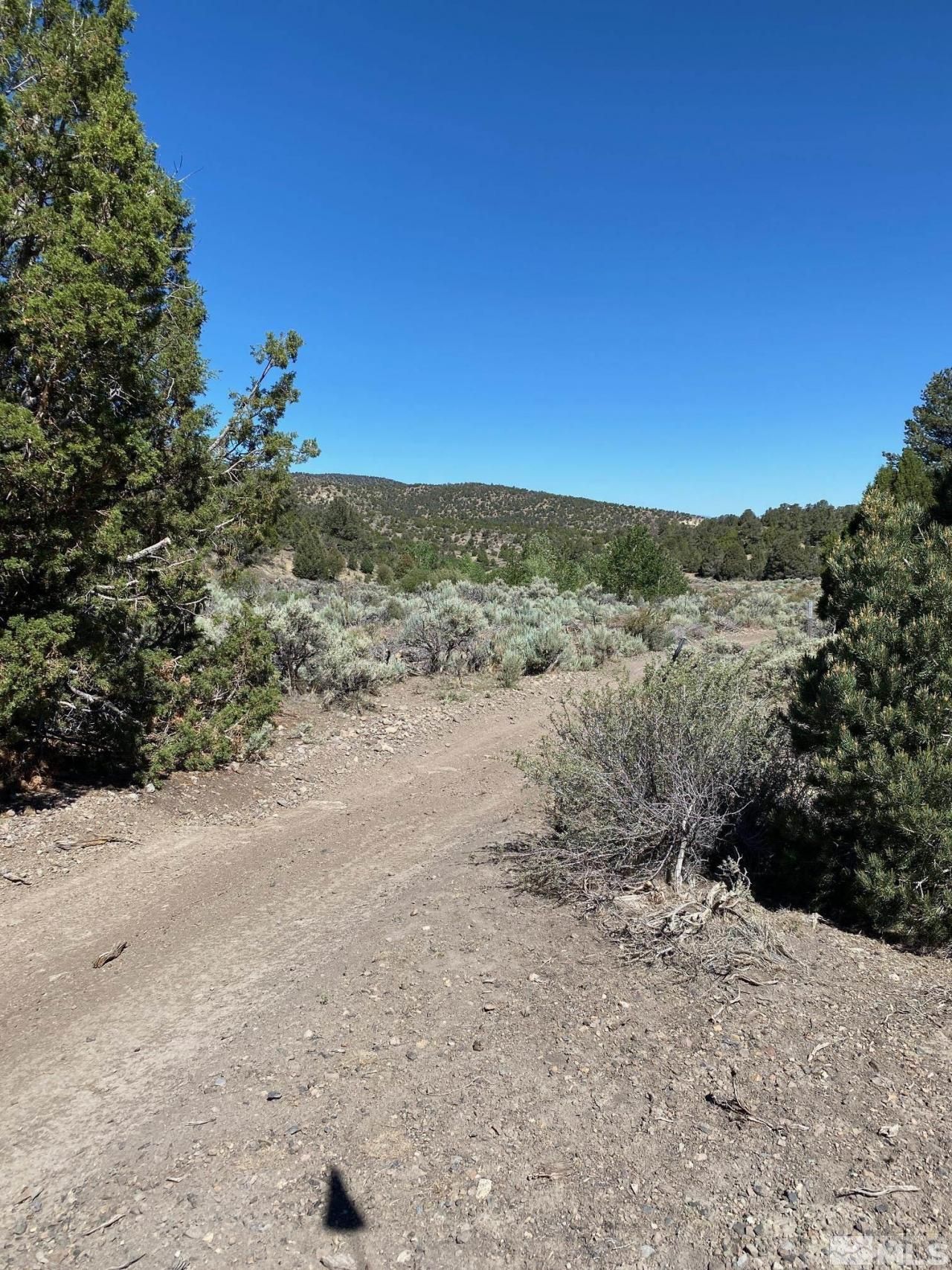 Tbd El Dorado Canyon, Carson City, NV 89701 Photo