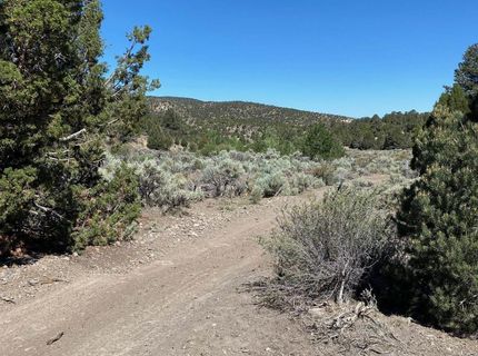 Tbd El Dorado Canyon, Carson City, NV 89701 Photo