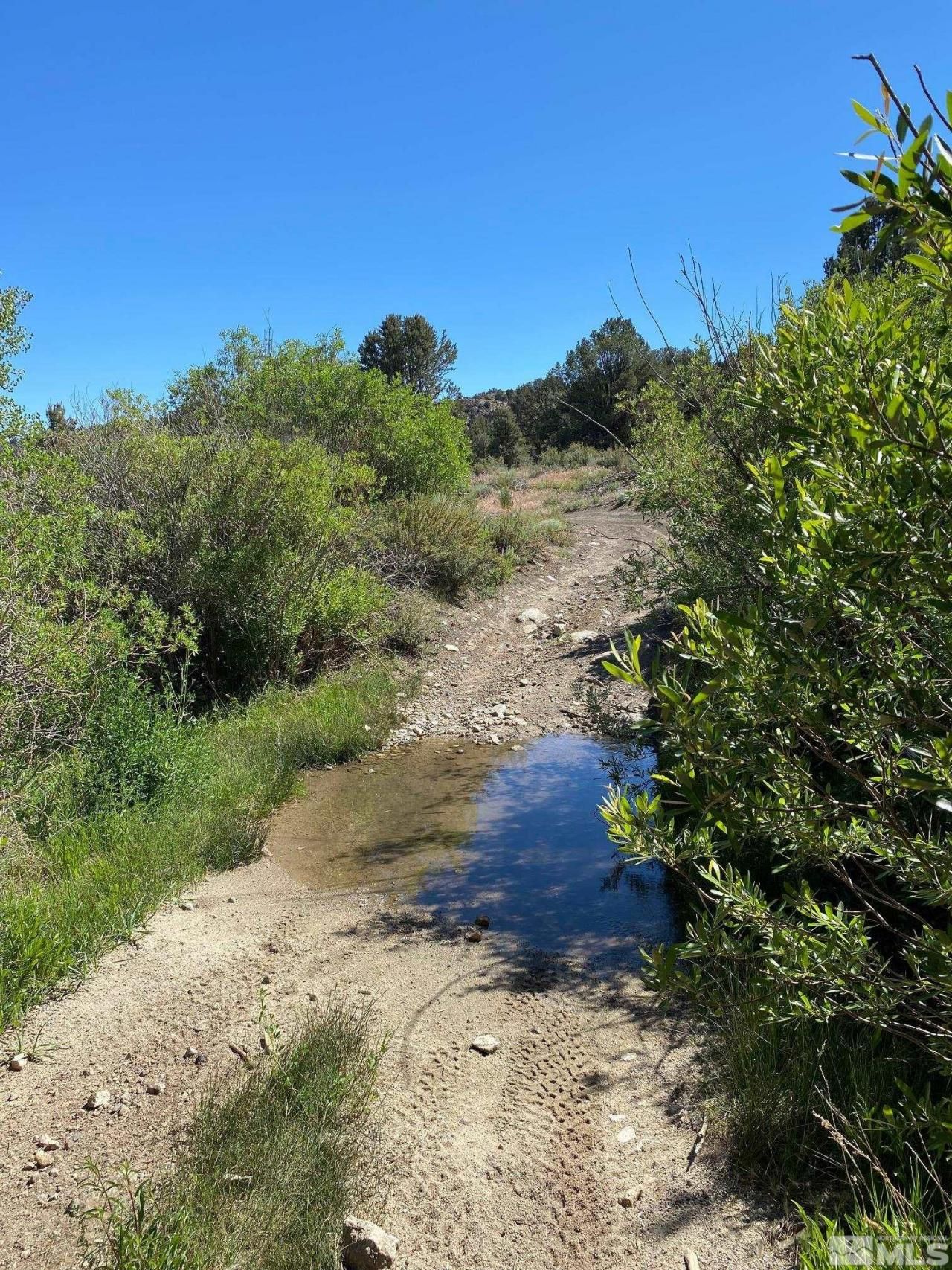 Tbd El Dorado Canyon, Carson City, NV 89701 Photo