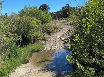 Tbd El Dorado Canyon, Carson City, NV 89701 Photo