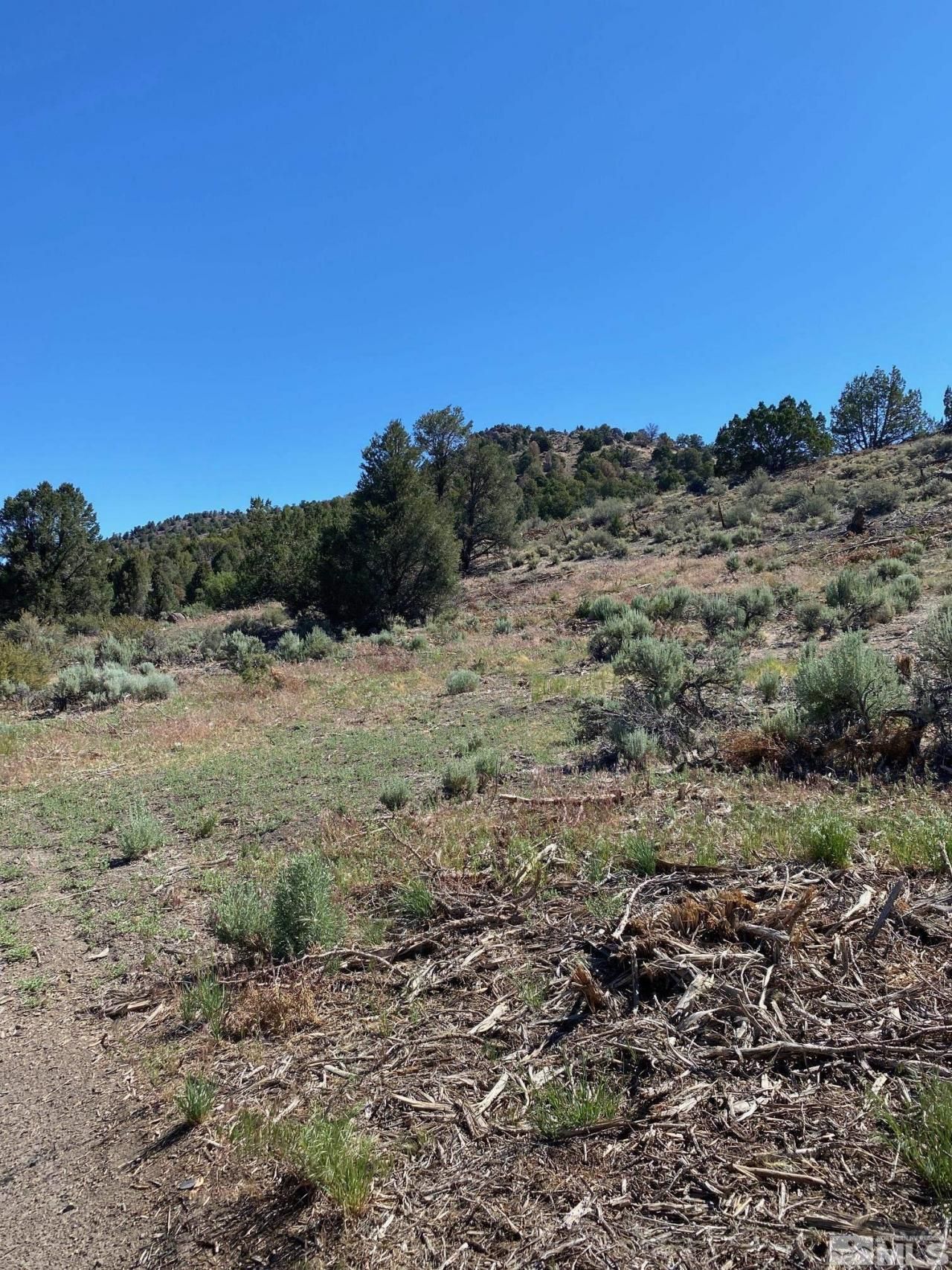 Tbd El Dorado Canyon, Carson City, NV 89701 Photo